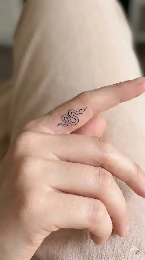 Micro Outline-Only Snake