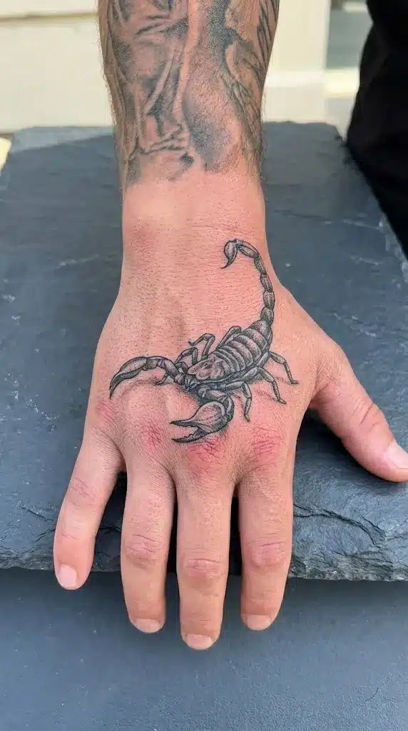Scorpion